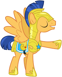 Flash Sentry